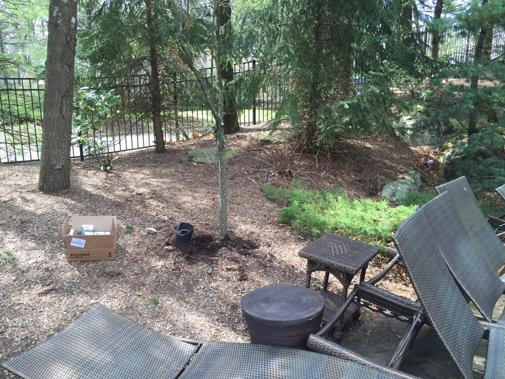 Slide of Zimick Electric