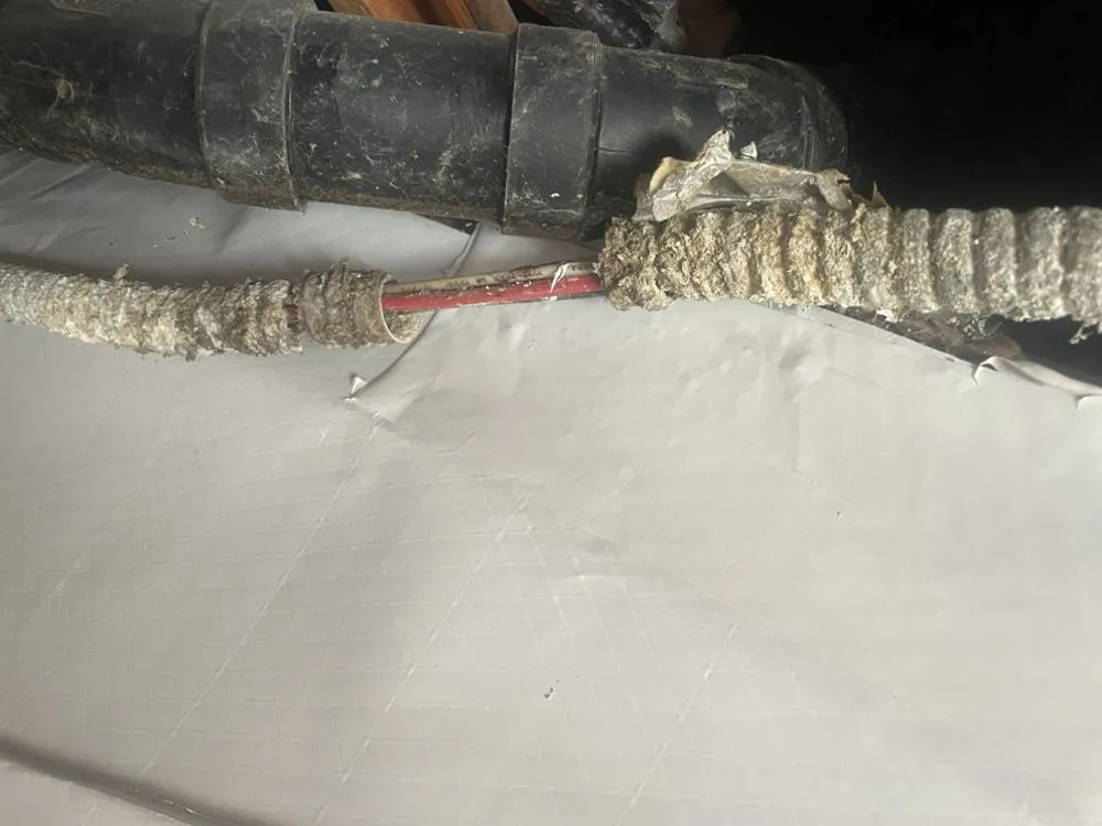 Slide of Zion Electric