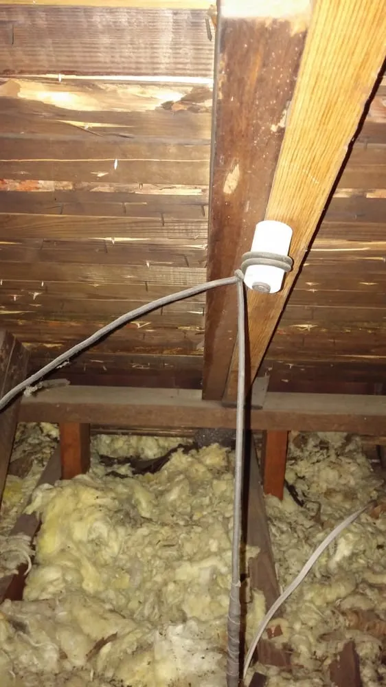 Slide of Zip's Electric