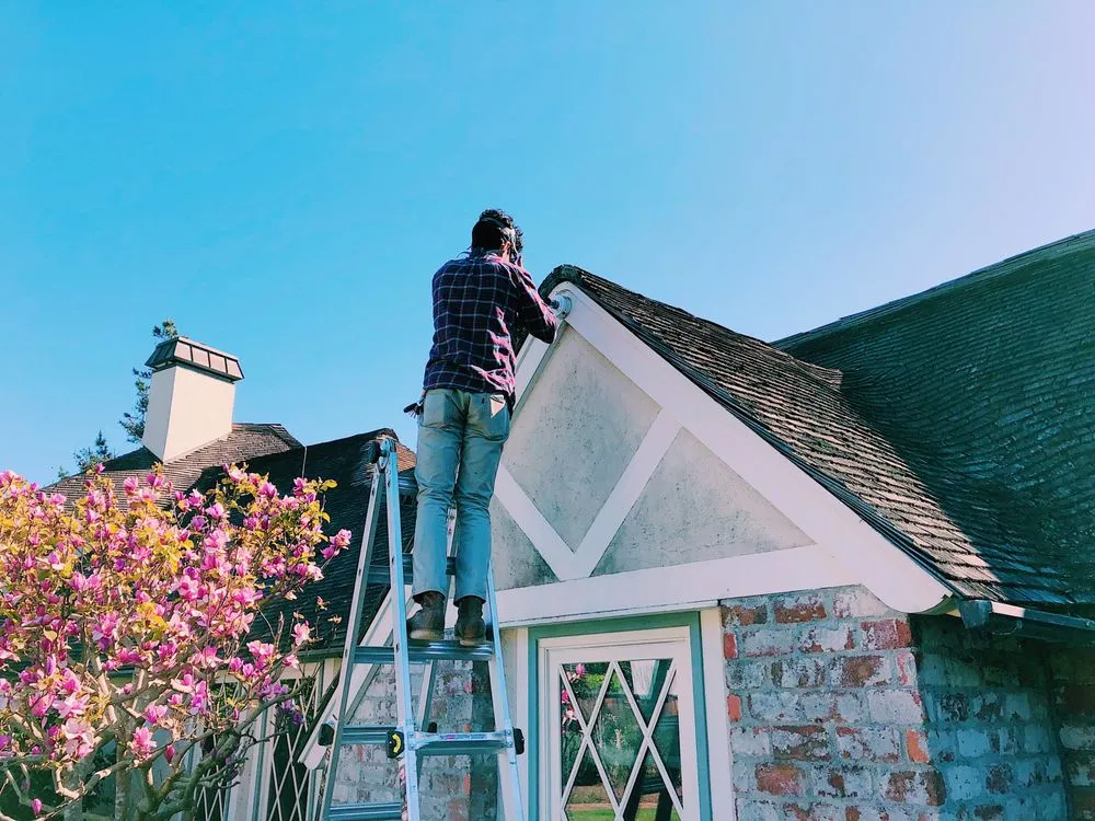 Slide of Zoetic Electric